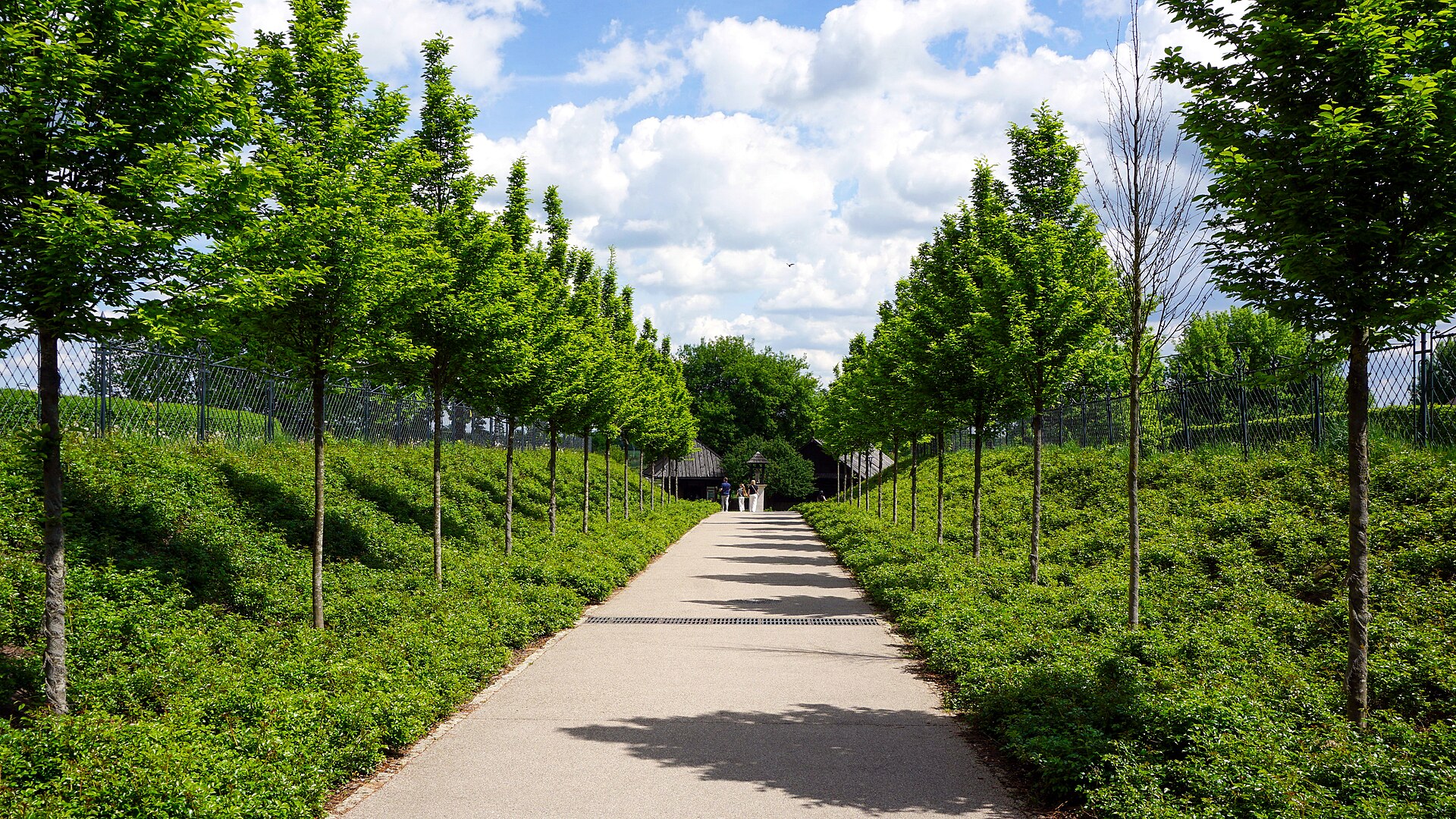 A mown walking path through a green meadow, trees along the horizon. Illustrative photograph, not a booked plan.